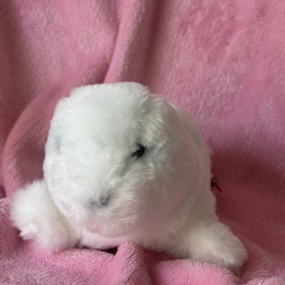 Douglas plush cuddle toys baby seal - Picture 3 of 3